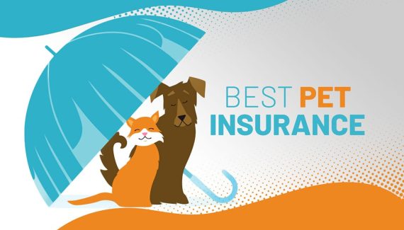 Affordable Pet Insurance Companies